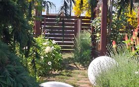 Gardena Rustic - Cabane De Lemn